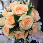 10383834_491601837642166_1938563590887901276_o