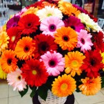 1966108_529504287185254_1134087446651762862_o